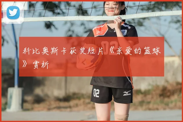 科比奥斯卡获奖短片《亲爱的篮球》赏析